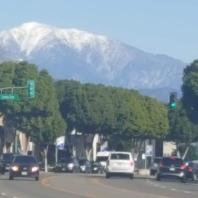 Temple City with Mt. Baldy cars, trees, Mt. Baldy