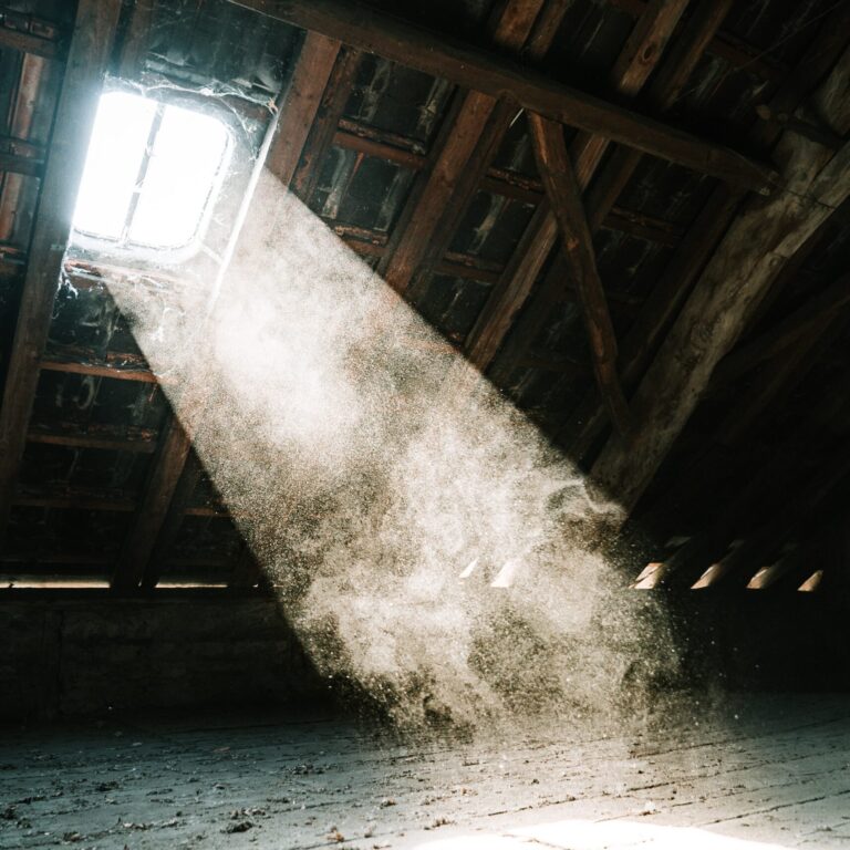 mika-baumeister-rV9m9-a5_mE-unsplash Light shining through a skylight into an attic.