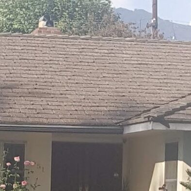 Roof Arcadia Roof with San Gabriel Mtns in background