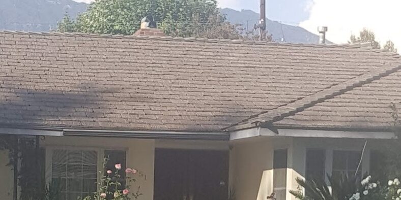 Roof with San Gabriel Mtns in background