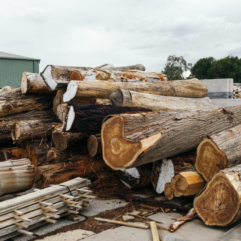 sarah-worth-SQqcCeAR3cI-unsplash pile of raw logs