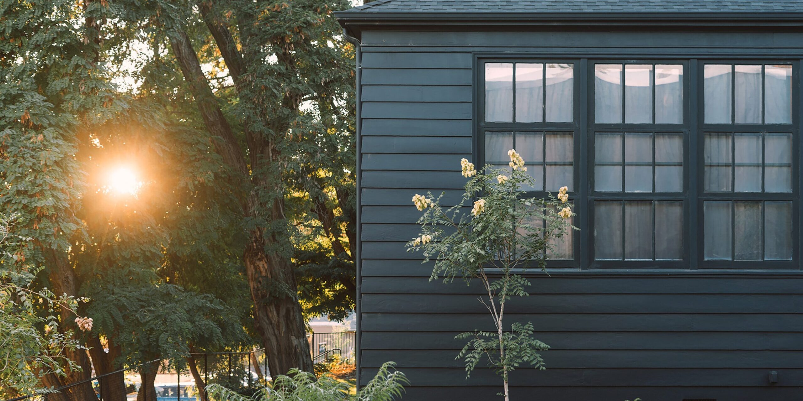 Sun shining through trees and roof of house