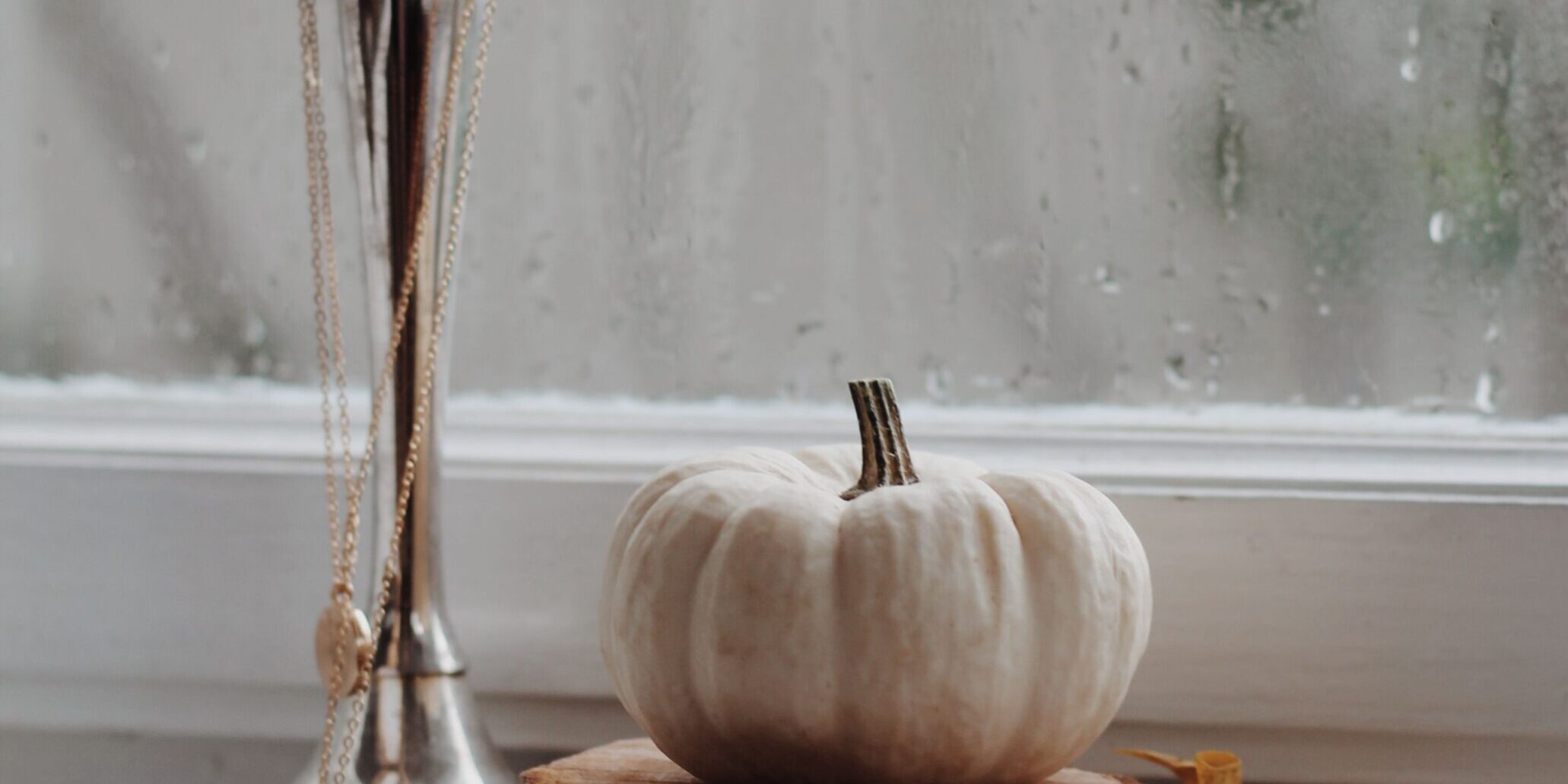 Pumpkin, lampstand near window covered in rain